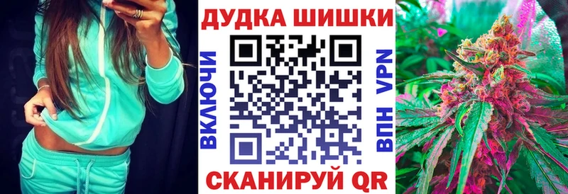 Купить где Елец Шишки марихуана ГИДРОПОН